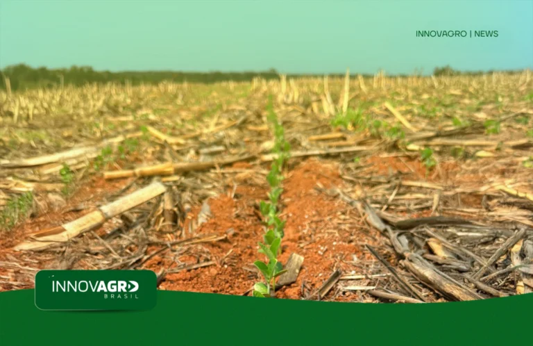 Innovagro-News