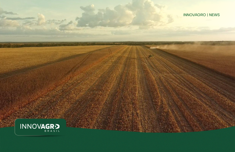 soja-e-trigo-ampliam-perdas-apos-china-contra-atacar-com-tarifas-aos-eua-innovagro